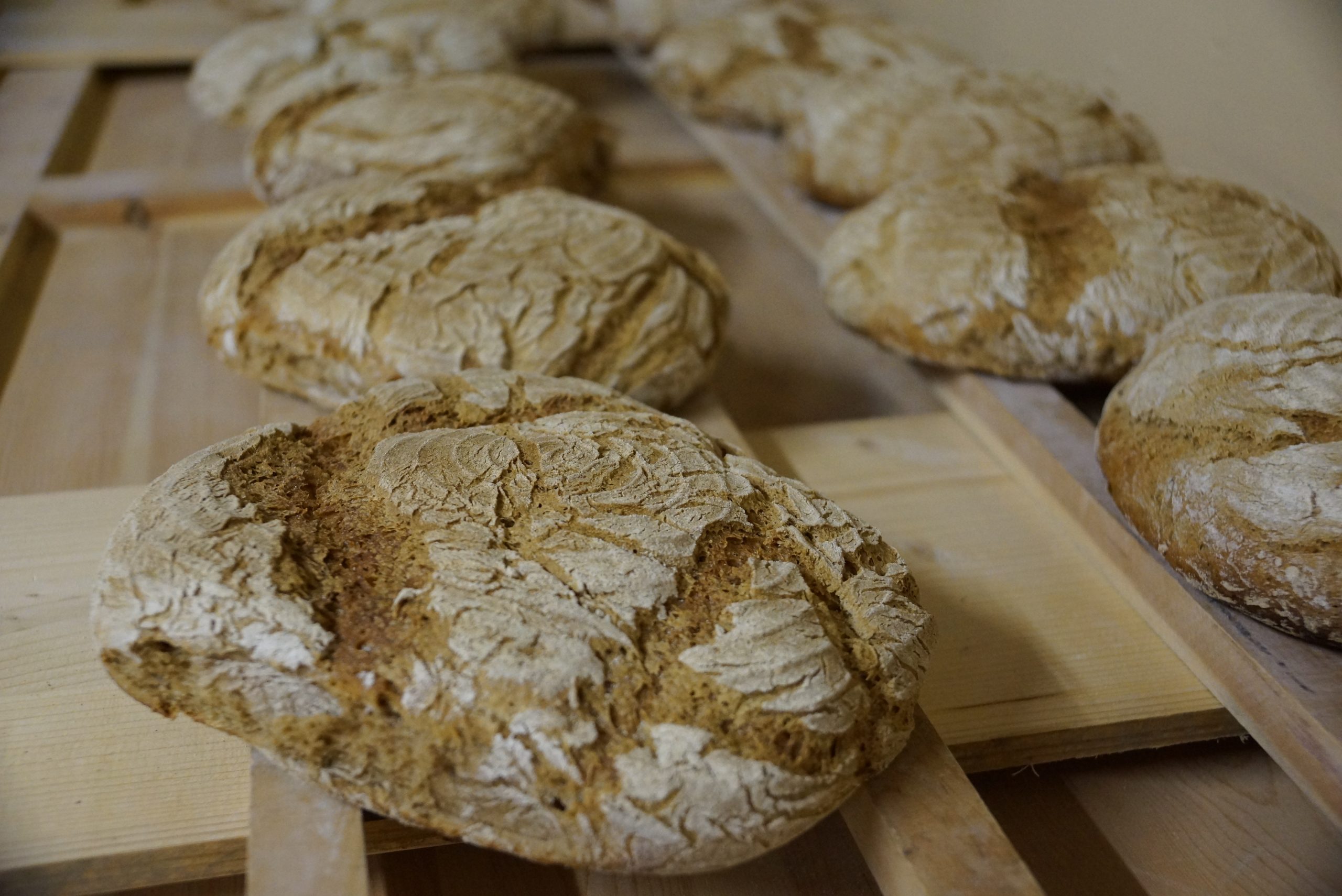 Mhhmm lecker – selbstgemachtes Brot aus dem Holzofen!